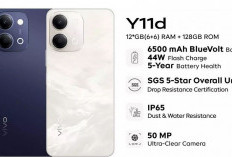 Vivo Y11d 4G Resmi Meluncur! Ponsel dengan Baterai 6.500 mAh dan Tahan Air IP65