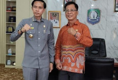 Dukung Sukses Sensus Ekonomi 2026, Bupati Kaur Terima Kunjungan Kepala BPS