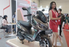 Kekurangan dan Kelebihan Motor Listrik Polytron Fox 350: Review Pemakaian 1 Minggu, Jarak Tempuh Hampir 350 Km