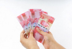 Cara Cek PIP 2026 Pakai NIK dan NISN, Diprediksi Cair Awal Februari