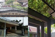 Inspirasi Desain Kanopi Tanaman Rambat yang Bikin Hunian Sejuk dan Aesthetic