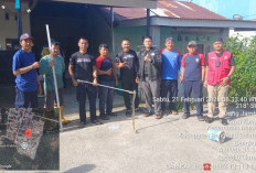 Damkar Bengkulu Selatan Evakuasi Ular Kobra di Permukiman Warga Kayu Kunyit 