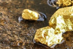 Pemkab Seluma Tunggu Tindak Lanjut Perusahaan Terkait Rencana Eksploitasi Emas