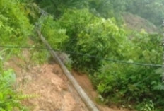 Tiang Roboh di Talang Tinggi, Aliran Listrik Ulu Manna Padam
