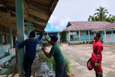 Sarang Tawon Vespa Affinis di Bengkulu Selatan Dievakuasi Tim RESCUE Pemadam Kebakaran