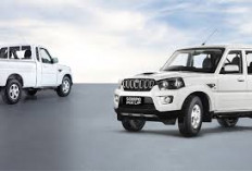 BUMN Impor Puluhan Ribu Pikap India, Seberapa Mendesak dan Bagaimana Spesifikasinya?