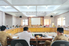 DPRD Bengkulu Selatan Prihatin Stok Obat di Puskesmas Sering Kosong, Ingatkan Hal Ini ke Eksekutif