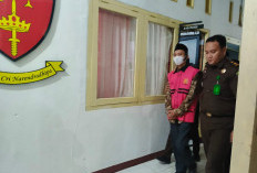 Mantan Anggota DPRD Kabupaten Kaur dan Bendahara Resmi Jadi Tersangka Kasus Perjadin 2023