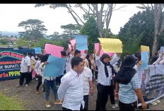 Puluhan Tahun Mengabdi, Ratusan Honorer Seluma Tuntut Kepastian Diangkat PPPK