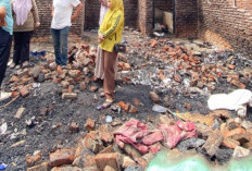 Kebakaran Hebat di Kaur, Rumah Maimunah Rata dengan Tanah