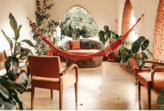 Mau Hunian Nyaman dan Estetik Jelang Lebaran 2026? Ini 5 Rekomendasi Warna Terbaik untuk Interior Rumah