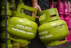 Menjelang Lebaran, Pemkab Bengkulu Selatan Awasi Ketat Distribusi LPG 3 Kg dan Ancang Tindak Pedagang Nakal