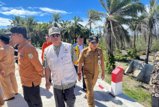 Pemprov Pastikan Jembatan Air Martan Segera Diperbaiki