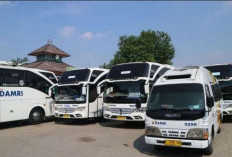 Pemprov Bengkulu Alokasikan Rp12 Miliar untuk Angkutan Haji, Lelang Mulai Diproses