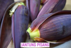 9 Manfaat Jantung Pisang untuk Kesehatan, dari Mengontrol Gula Darah hingga Menurunkan Berat Badan
