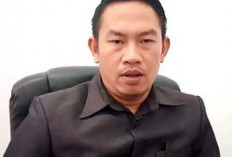 PPPK Paruh Waktu Bengkulu Selatan Segera Terima SK, Ini Jadwal dan Lokasinya