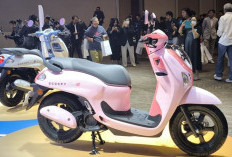 New Honda Scoopy Sukses Menarik Gen Z dengan Pilihan Warna Super 'Ngejreng'
