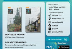 Listrik Padam di Bengkulu Selatan Akibat Hujan Badai, PLN Sebut JTM Putus di Depan Polres