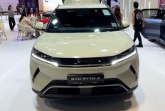 BYD Otto 2 Muncul di NJKB Pusat, Sinyal Kuat Siap Masuk Pasar Indonesia