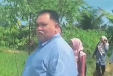 Cari Solusi Atasi Kekeringan, Bupati Tinjau Tebat Baghu