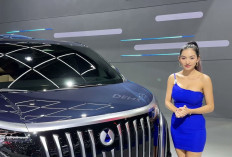 Komparasi Denza D9 vs Toyota Alphard Hybrid! Spesifikasi Hingga Harga Terbaru