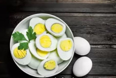 5 Makanan Murah Tinggi Protein untuk Bulking Tanpa Menguras Kantong