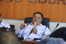 Pemkab Bengkulu Selatan Perkuat Sektor Pertanian, Targetkan Jadi Lumbung Pangan Unggulan