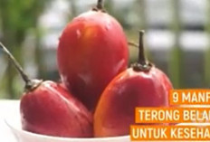 9 Manfaat Terong Belanda untuk Kesehatan, Kaya Antioksidan hingga Jaga Jantung