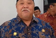 Sawit Kuasai Bantaran Sungai, Bupati Bengkulu Selatan Wacanakan Program Tanam Bambu