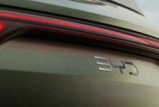 BYD Atto 2 Masuk Indonesia, Ramaikan Segmen Mobil EV Menengah, Ada yang Cemas