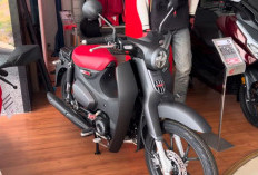 Honda Super Cub: Motor Klasik Menawan, Ideal untuk Mobilitas Perkotaan