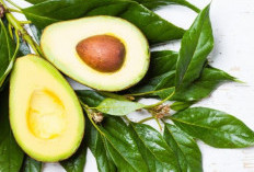 Mood Lagi Merosot, Coba Makan Makanan Ini, Otomatis Bikin Ceria Lagi