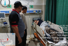 BREAKINGNEWS: Tiga Karyawan PTPN VII Seluma Disambar Petir, Satu Meninggal Dunia