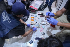 Muncul Isu Kepala BNN Suyudi Ario Seto-Shandy Aulia Pasca Geledah Kampung Ambon