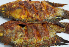 4 Ikan Terbaik untuk Menjaga Gula Darah Tetap Stabil: Pilihan Sehat, Lezat, dan Terjangkau