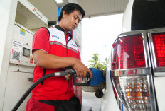 Dilema Hemat vs Risiko Mahal: Seberapa Aman Beralih dari Dexlite ke Biosolar untuk Mobil Diesel?