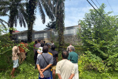 BREAKINGNEWS : Warga Seluma Meninggal Dunia Tersengat Listrik Saat Panen Sawit