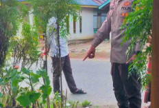 Penusukan Berdarah di Bengkulu Selatan, Pelaku dan Korban Ternyata Masih Keluarga