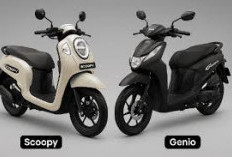 Motor Murah 2026, Matic Kalcer Lebih Murah dari Scoopy, Ini Update Terbaru Harga Motor Honda Genio