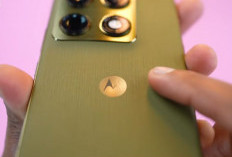 Naik Kelas! Motorola Signature Hadir sebagai Flagship Premium, Siap Bikin Kompetitor Waspada