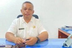 DKP Bengkulu Selatan Bagikan Bibit Sayuran Gratis ke Masyarakat