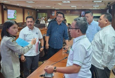 Bengkulu Selatan Fokus Kembangkan Kelapa dan Kopi, Dorong Ekonomi Petani Lokal