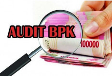 Pemeriksaan Keuangan Tahap Pengumpulan Data, 1 April BPK Datangi Bengkulu Selatan 