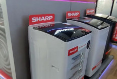 Cuma 1 Jutaan! Ini Dia 5 Mesin Cuci Top Loading Satu Tabung Terbaik, Cocok Anak Kos dan Keluarga Kecil