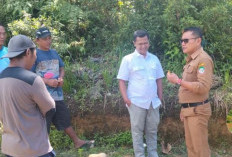 Dinas Pertanian Seluma Data Jumlah Ternak untuk Hewan Kurban