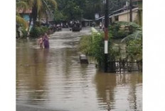 Hujan Deras Picu Banjir di Bengkulu dan Lebong, Ratusan Rumah hingga Fasilitas Umum Terdampak