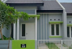 Inspirasi Cat Rumah Jelang Lebaran 2026: Pilihan Warna Favorit dan Perkiraan Biaya