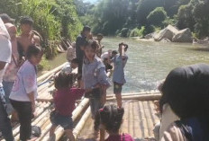 Jadi Primadona, Wisata Ikan Larangan Taba Lubuk Puding Seluma Dikunjungi Ratusan Wisatawan