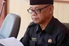 Arus Mudik dan Wisata Diminta Tetap Kondusif, Satpol PP Bengkulu Selatan Didorong Intensifkan Razia Ternak