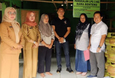 Harga Gas Melon Melambung, Diskop UKM Prindag Kaur Kembali Sidak Pangkalan